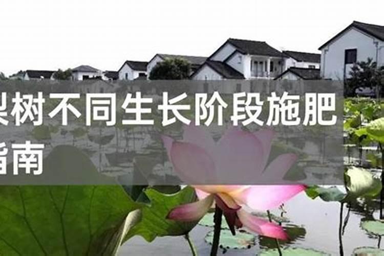 美盛化肥(秦皇岛)有限公司的公司概况