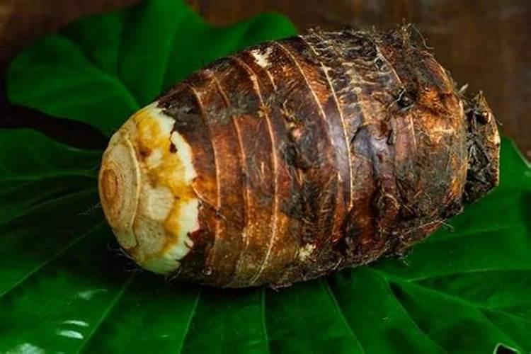 种植芋头需要用什么肥料最好(栽培芋头施什么肥产量高)