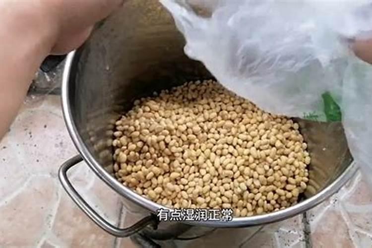 黄豆怎么做肥料