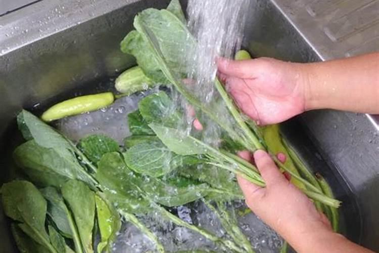怎样减少蔬菜农药残留对健康的危害