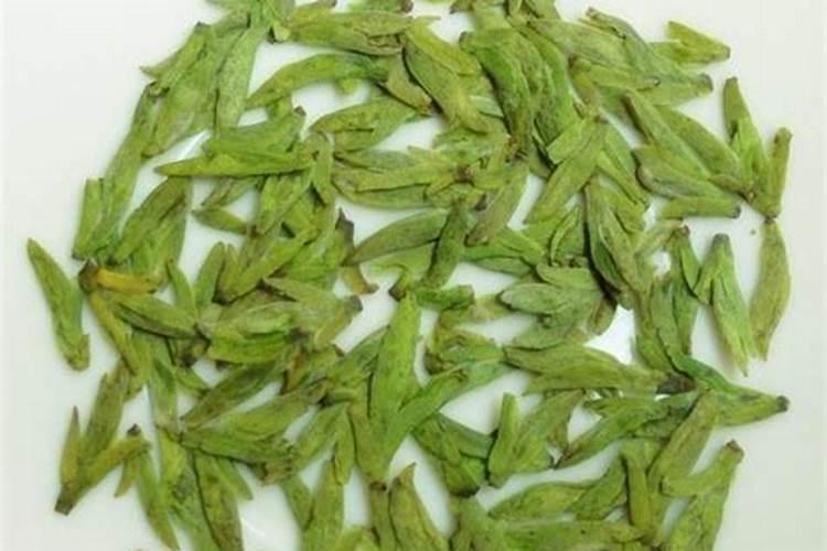 金针菇液体菌种与固体菌种生产工艺有哪些异同点
