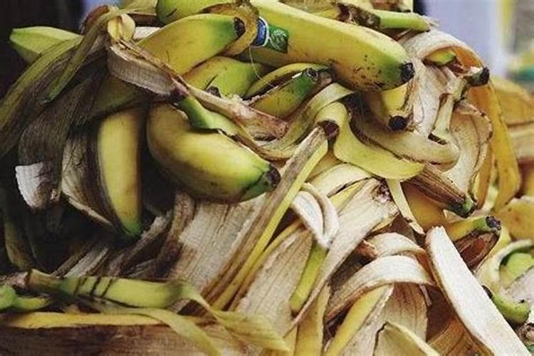 香蕉用什么肥料好