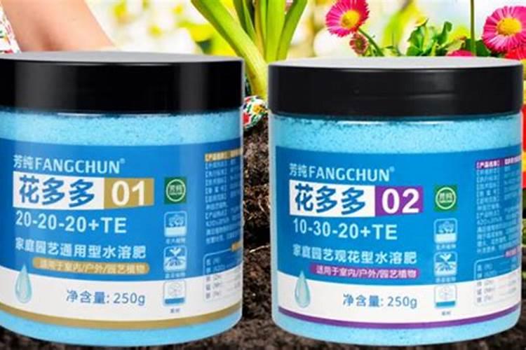 木槿花为什么没开就掉