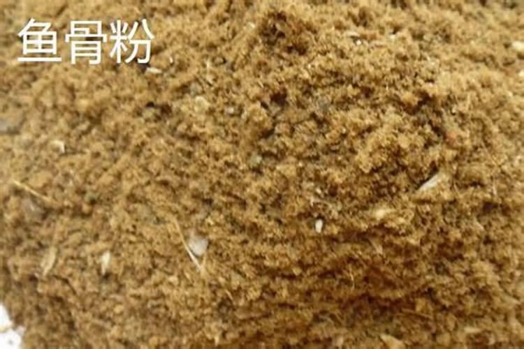 磷肥是什么肥料做成
