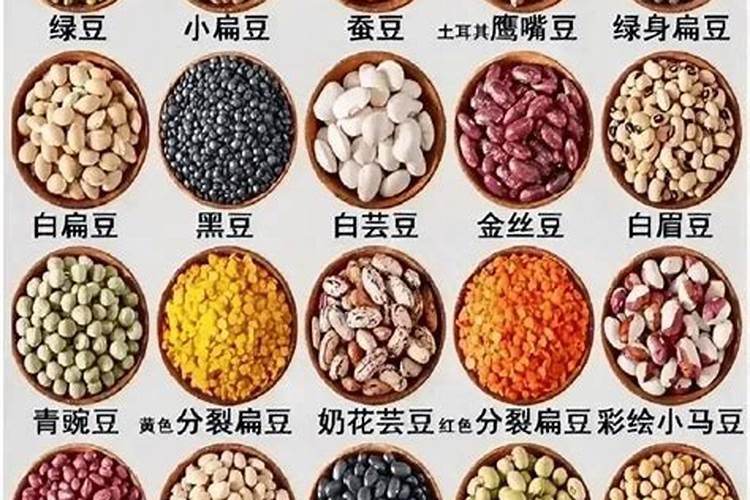豆子多久浇肥料一次水