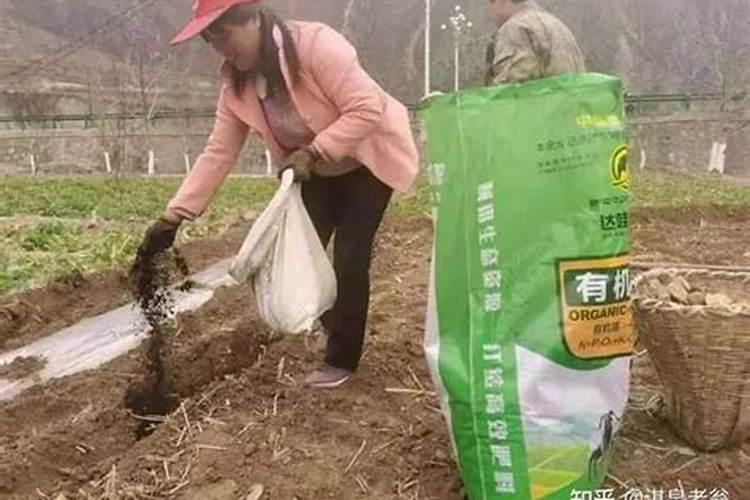 硫酸钾复合肥大榛子树施肥可以吗？