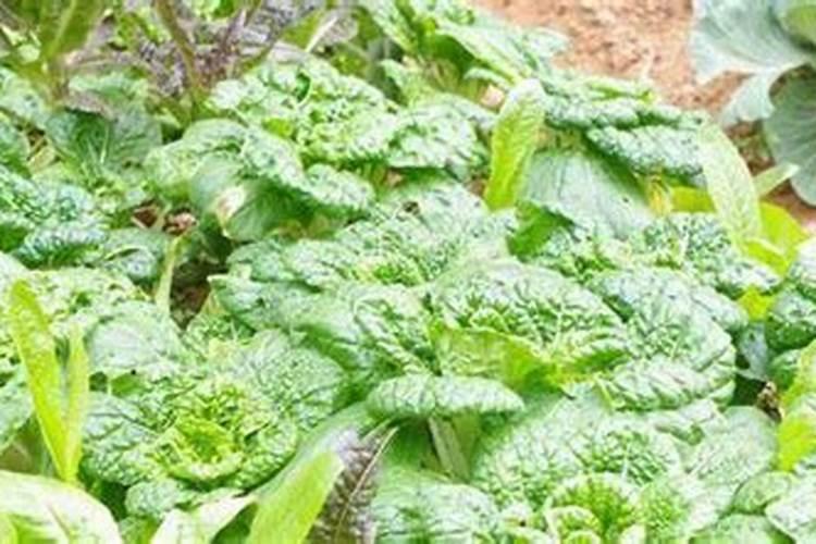 潍坊正远粉体工程设备有限公司的简介