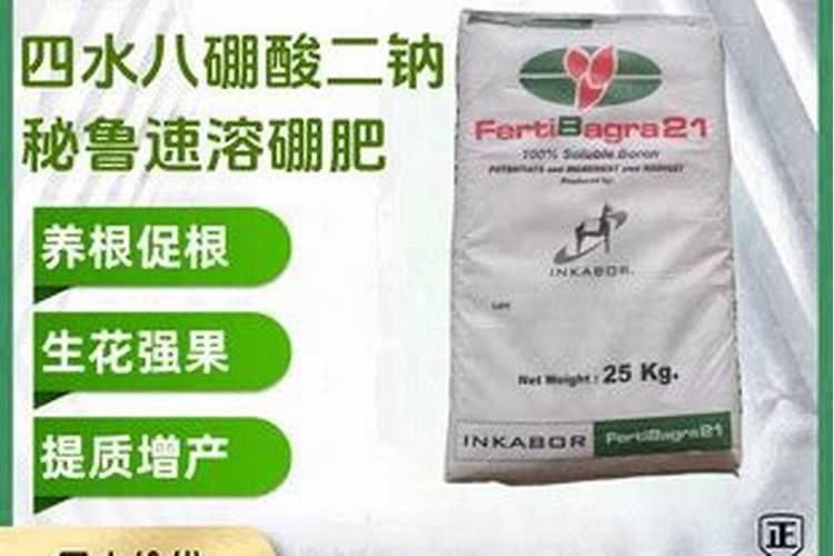 膨果最快最佳配方