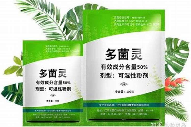 柚子打什么药？