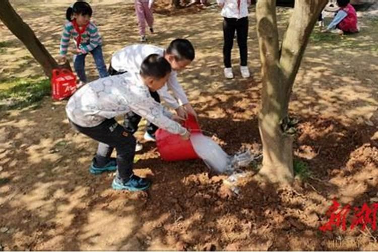 树苗施什么肥长得快