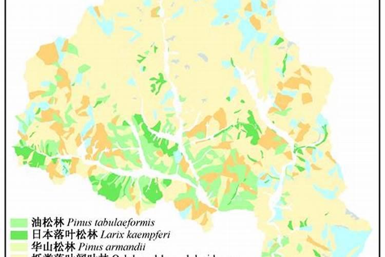 小麦返青期需要追施尿素吗