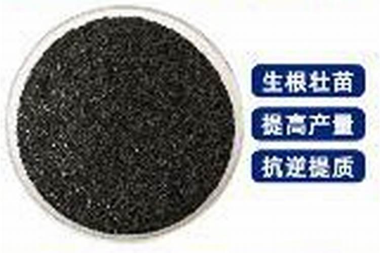 海藻酸肥料功效与特点,是碱性肥料还是酸性肥料