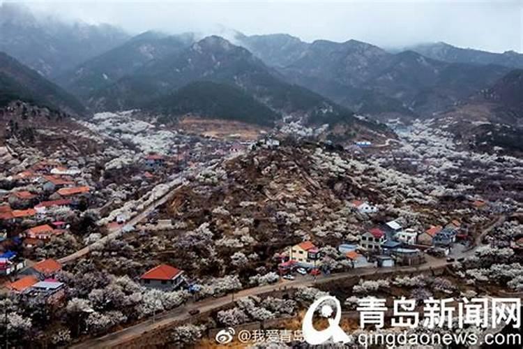 棉花在什么时候施肥