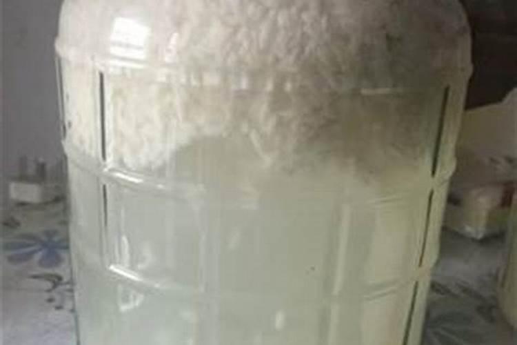 苹果树施钾肥正当时