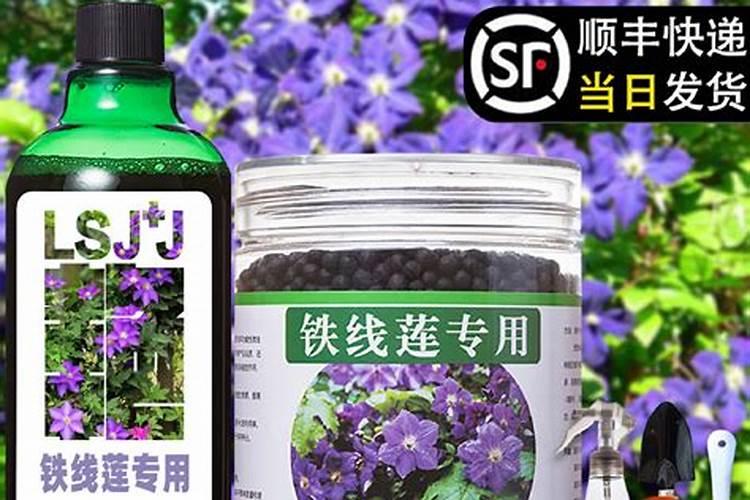 鑫八福肥料是真是假