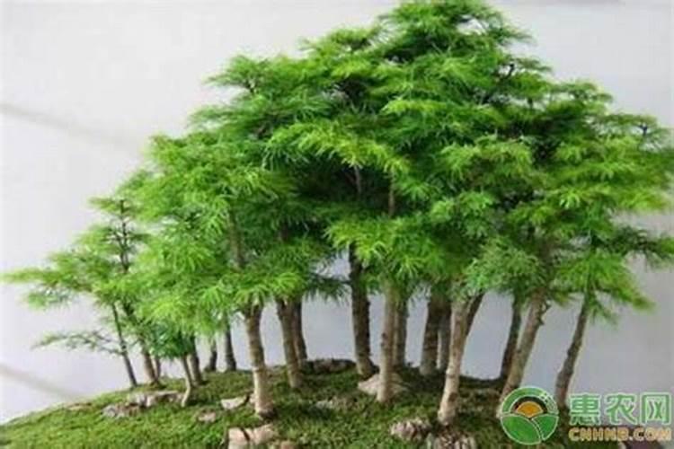 影响钙吸收的因素有哪些？
