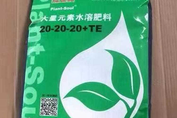 水溶肥施用后多久见效