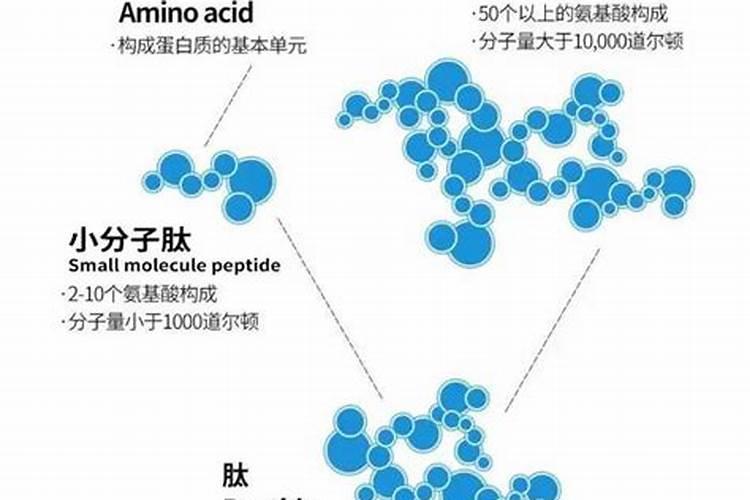 通过什么流程能够把鱼蛋白过滤出来