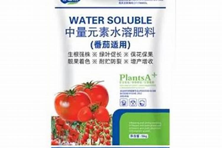 西红柿营养成分含量表