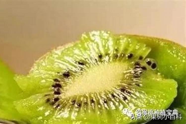 水果的甜度与氮肥有关
