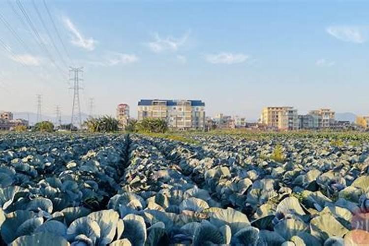 输液输钾有什么副作用