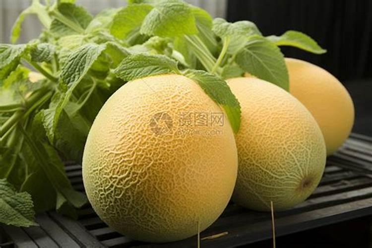 哈密瓜施肥最佳时间