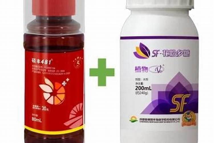 如何了解芸苔素内酯？