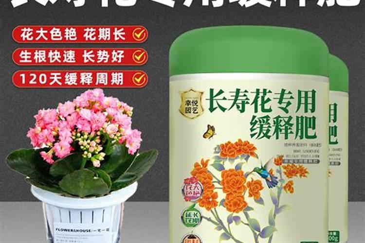 椰树牌椰汁是纯椰汁吗