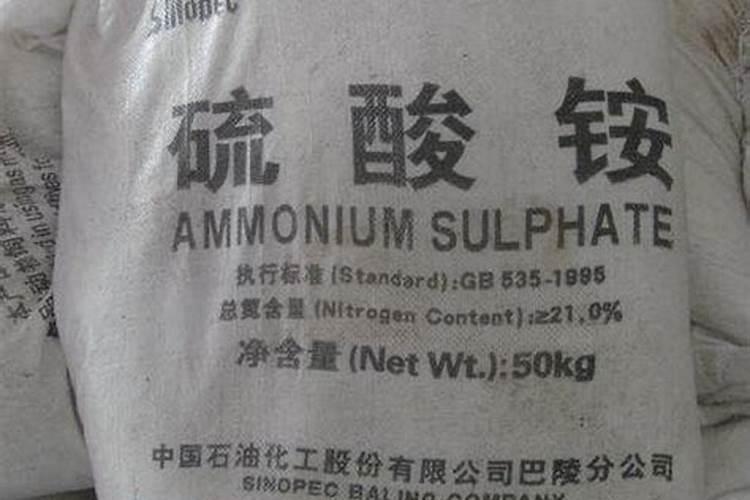 鱼蛋白水溶肥可以浇什么花？