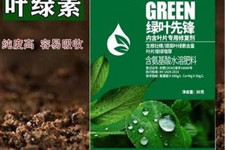 临沂化肥品牌 临沂化肥厂家 临沂有哪些化肥品牌【品牌库】