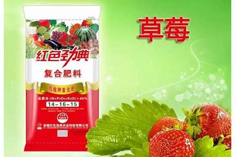 苹果树秋季该如何施肥