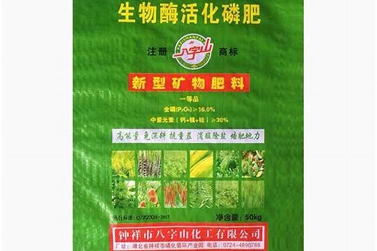 日本进口的鱼蛋白是真的吗