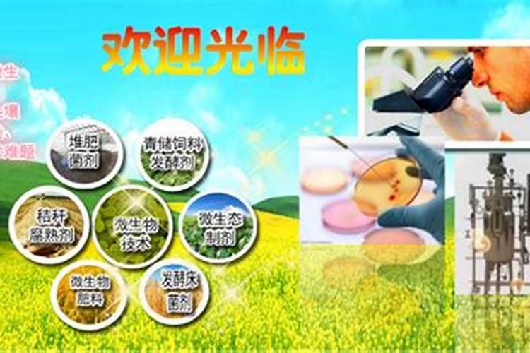国内氨基酸水溶肥生产厂家有哪些？