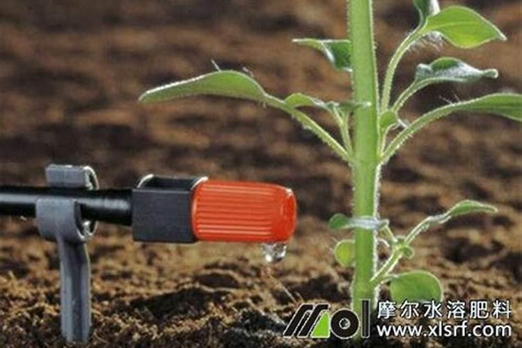 领克复合型水溶肥料是哪个厂家生产的？