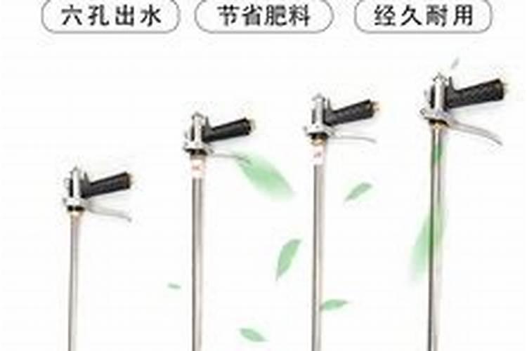 袖珍椰子如何养护