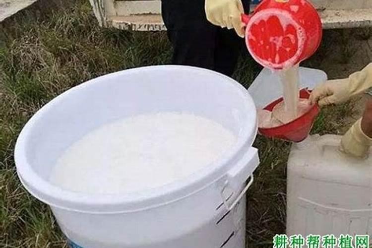 花菜施什么肥最好