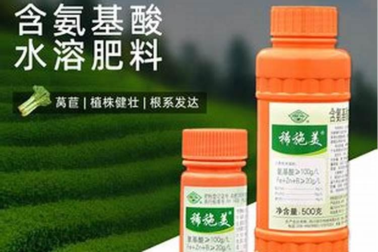 西红柿晚役病用什么药效果最好