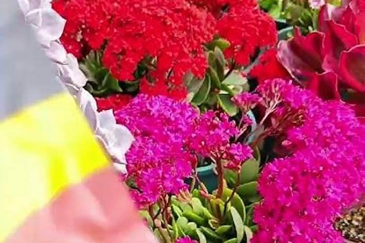 香港化肥公司旗下所有产品