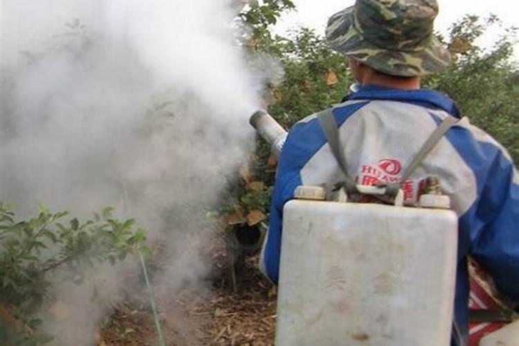 雨后果树喷施叶面肥应注意什么 烯啶虫胺杀灭刺吸式口器害虫专业杀虫剂...