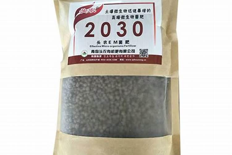 大葱诱导多倍体最适合的预处理时间
