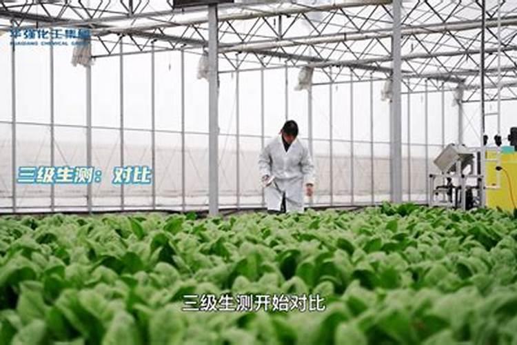 试验田的意思