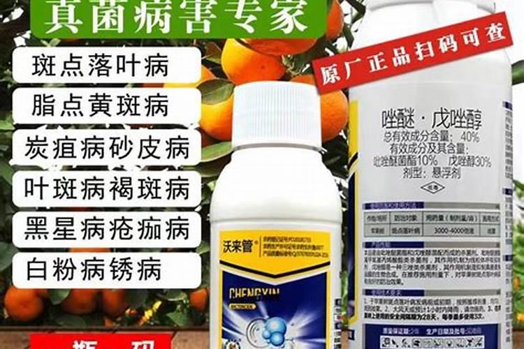 苹果树开花前打什么药 可以防治腐烂病菌