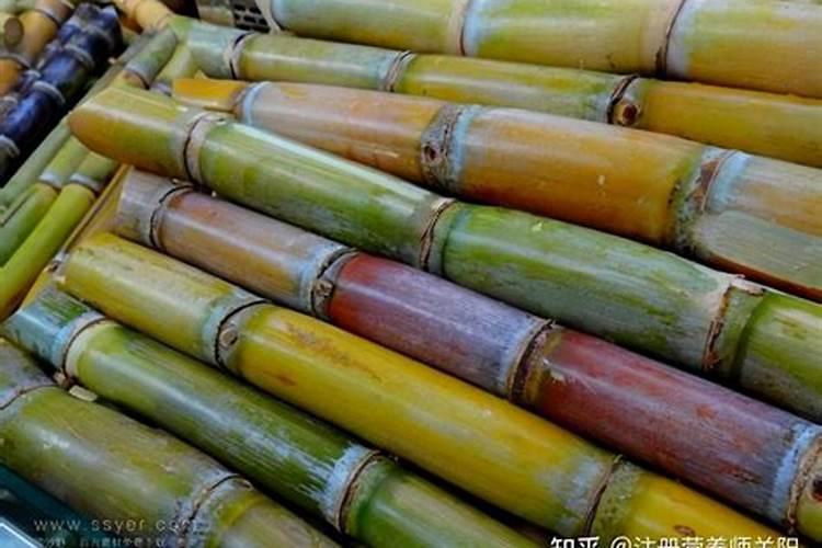 甘蔗用什么肥料最好