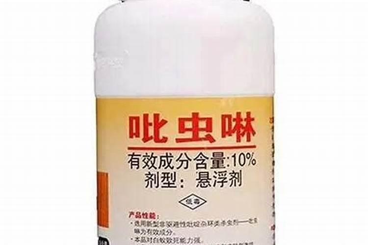 风车茉莉怎么养才开花 风车茉莉的养殖方法