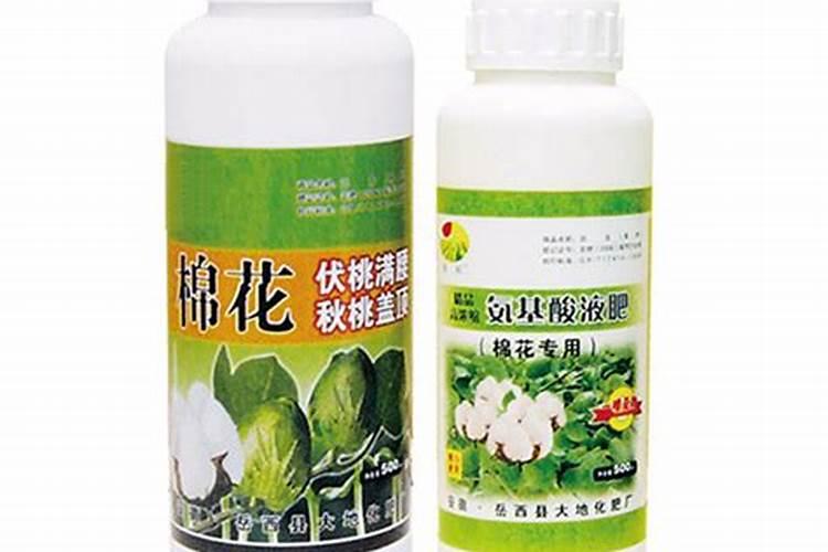 三农龙头股有哪些？