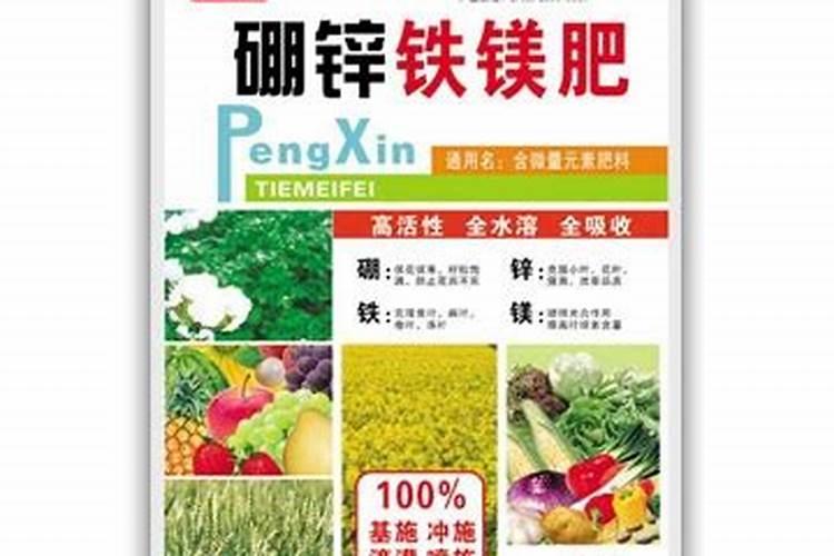 移栽室内植物多久施肥(移栽的植物多少天缓过来)