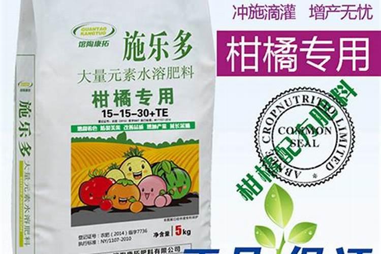 柑桔今日最新价格多少钱一斤？施肥技巧有哪些？