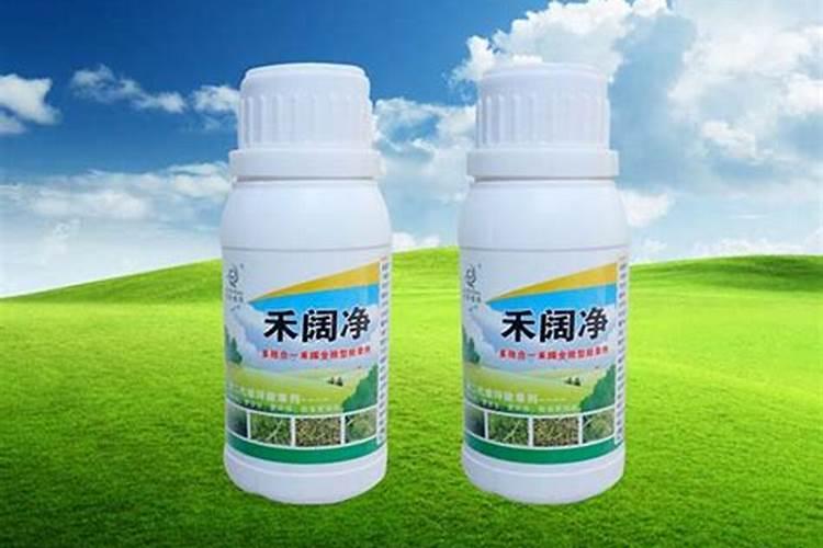 草坪的最佳施肥时期在什么时候 草坪什么时候施肥好