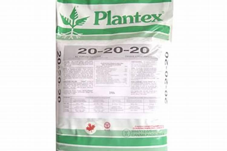 水养植物用什么肥料简单又适用