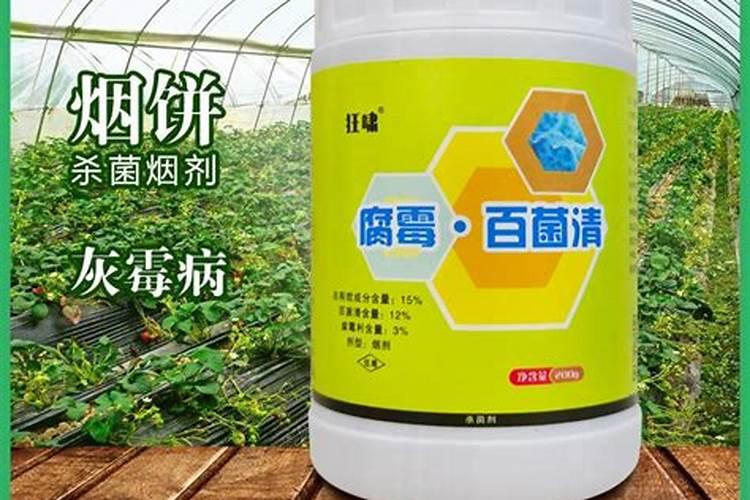 黄瓜叶斑病常用杀菌剂有哪些？预防黄瓜叶斑病如何管理效果好